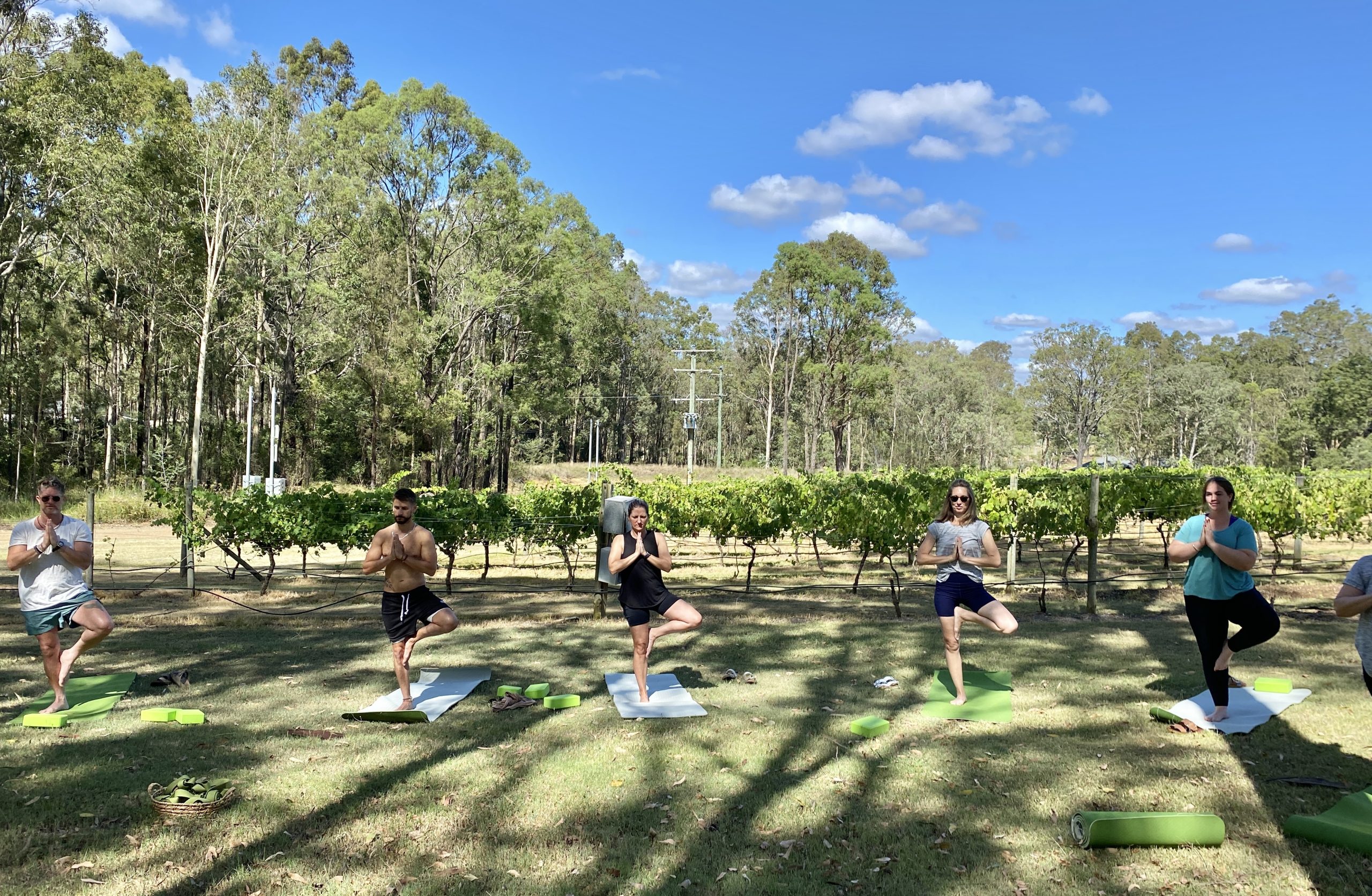 We come to your conference venue in the vineyards to teach yoga and meditation. We even bring yoga mats